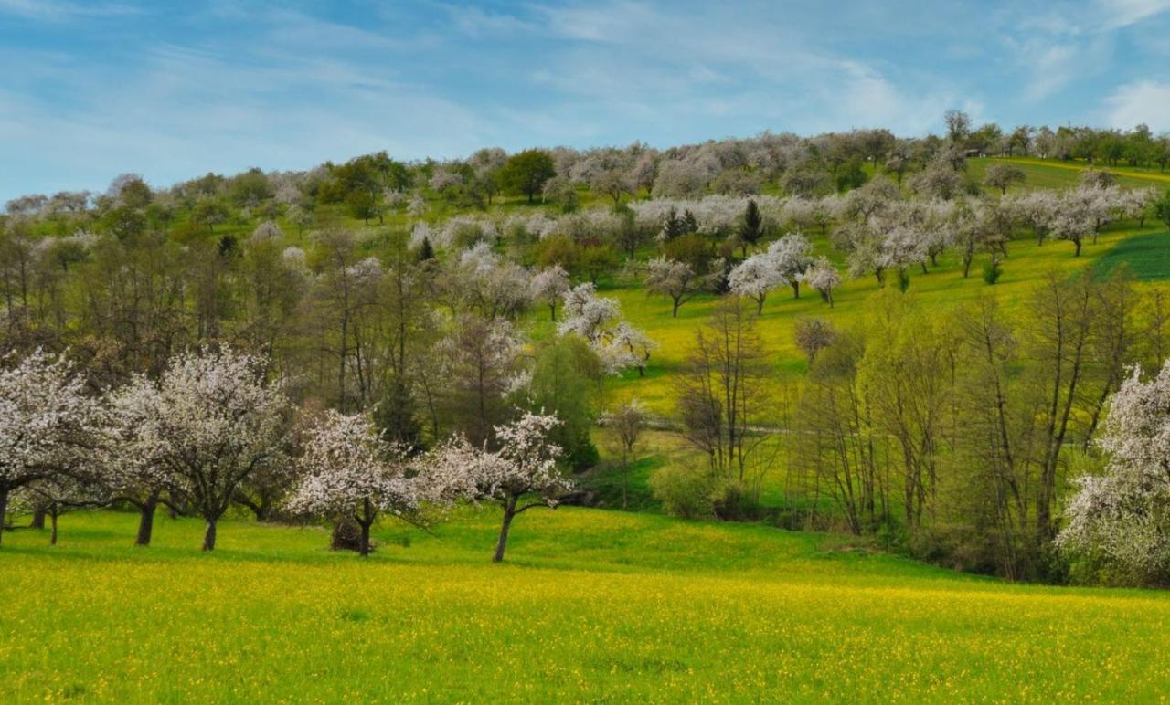 Ferienwohnung Milla Weissach im Tal Exteriér fotografie